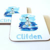 Clifden Coaster